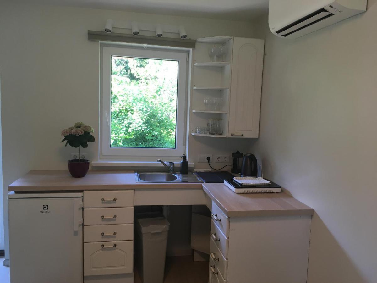 Vila "Ziedkalni" Bīriņi Exteriér fotografie
