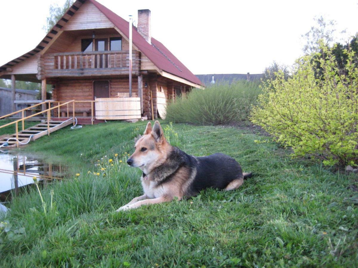 Vila "Ziedkalni" Bīriņi Exteriér fotografie